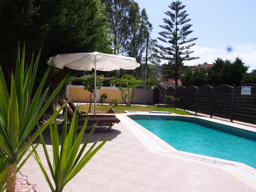 Villa Adonis With Private Pool By Lefkadastay Exterior foto