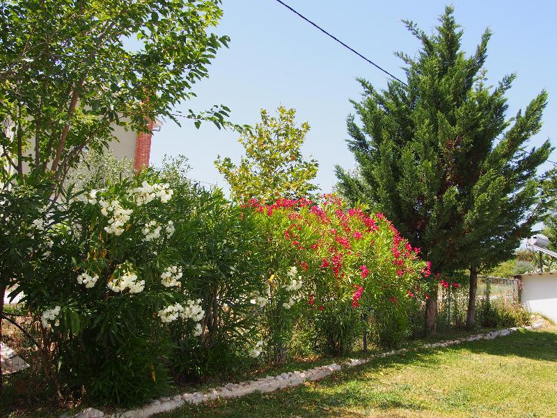 Villa Adonis With Private Pool By Lefkadastay Exterior foto
